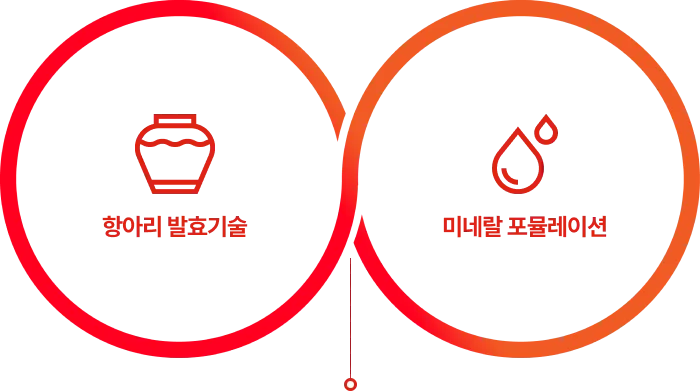 항아리 발효기술, 미네랄 포뮬레이션